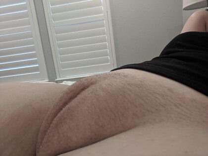 want to see more of my chubby pussy? 