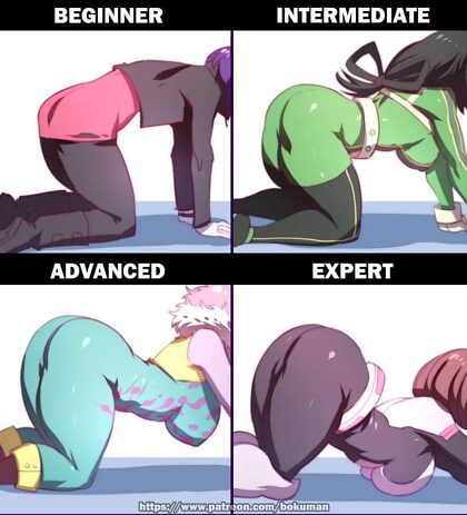 Levels of experience