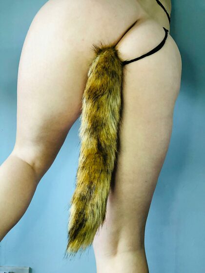 I was thinking about getting another tail, what should I go for? I was thinking maybe bunny?