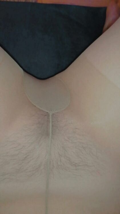 Young, hairy and little shy, so in nylons first. Should post without them?