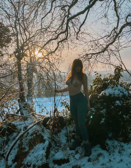 Você se juntaria a mim em uma caminhada na floresta pelo país das maravilhas do inverno?