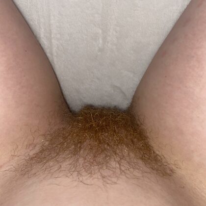 My bf wants me to shave my ginger pussy :(