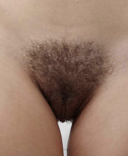 Other cut of my hairy pussy, what do you think