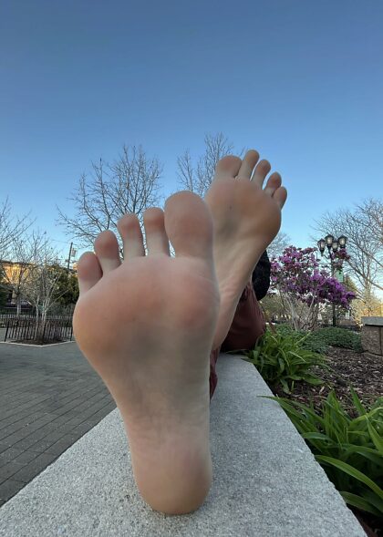 Suns Out Soles Out !