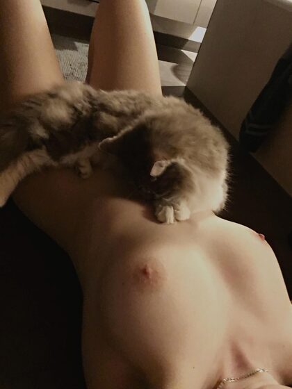 parce que les appels pour des photos de chatte ont été bruyants ces derniers temps, cette photo malgré sa très mauvaise qualité