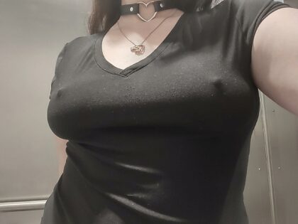 My pokies on lunch break. I love that they're so prominent