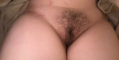 Haven’t shaved in a while what do you think?
