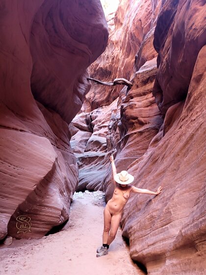 PSA - Slot Canyons pose serious danger for flash flooding. Stuck limbs and other debris reveal how high the water can get ☝