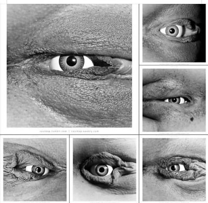 Different types of eyes