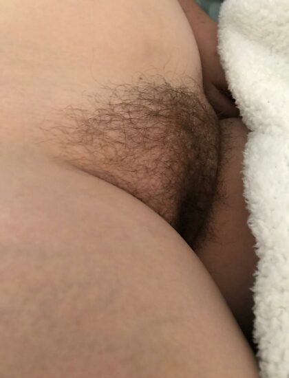Would you go down on this hairy pussy?
