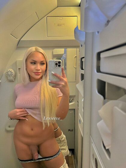 Zou je me willen pijpen in de vliegtuigbadkamer?