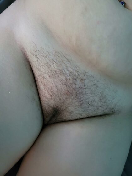 Husband wants me to show off..he likes the bush, but idk.. what do you think?