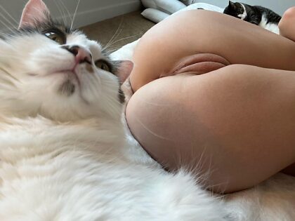 which pussy are you looking at in this pic? 