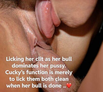 Cucks job is to lick and clean