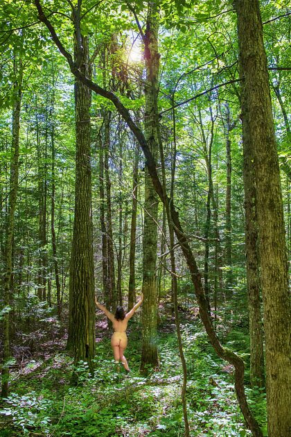 "Je me suis promenée dans les bois et je suis ressortie plus haute que les arbres." -Thoreau
