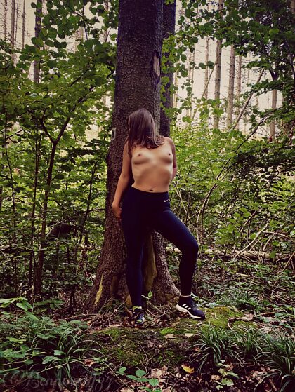 In den Wald…