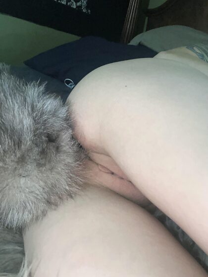 Imagine my cute little pussy peeking out from behind my tail