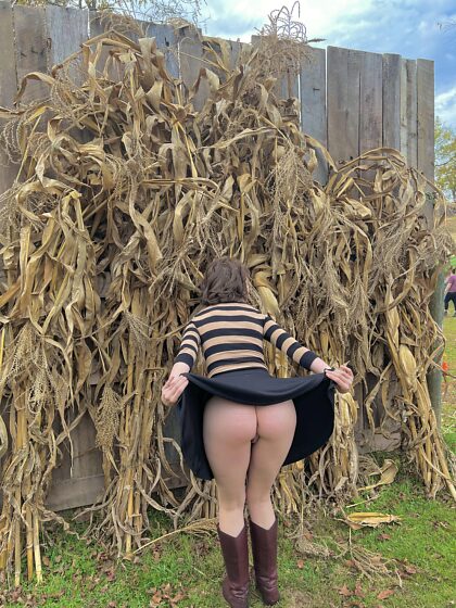 Pójdziesz za mną do labiryntu kukurydzy?