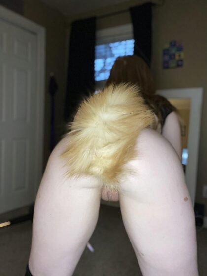 Redhead with a tail
