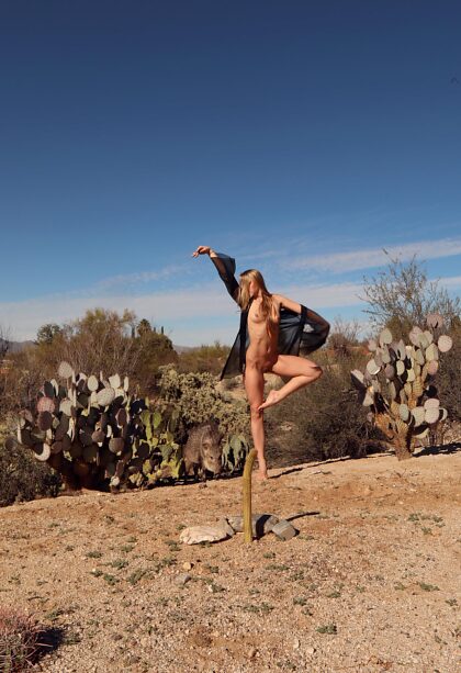 Bailando con Javelina/Autorretrato/Arizona