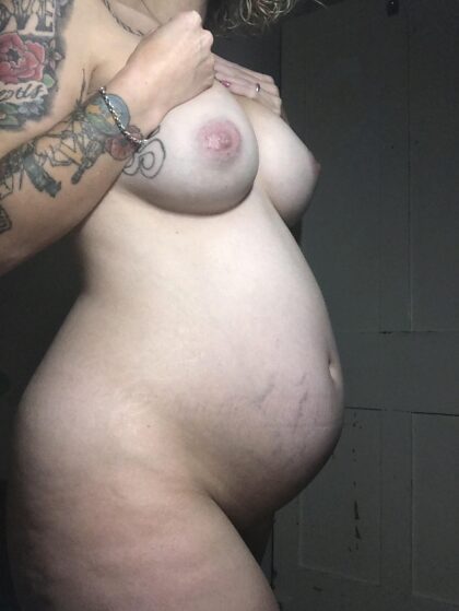 Horny and pregnant, the perfect combo right?