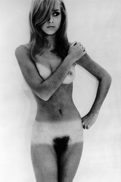 Terence Donovan による写真、1967 年
