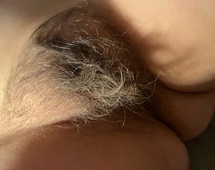 Is it hairy enough for you?