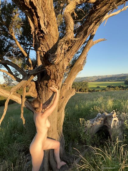 Nudista con árbol de goma viejo y una vista increíble