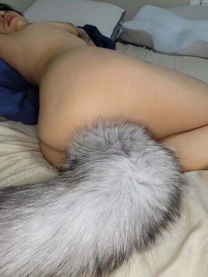I know you wanna touch my big fluffy tail