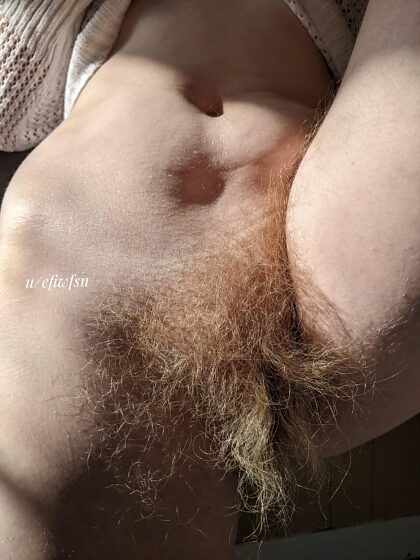 Mi coño tiene una barba vikinga