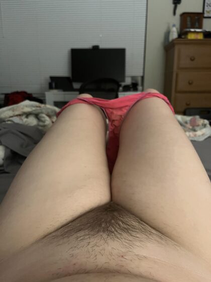 Should I spread this hairy pussy open for you?