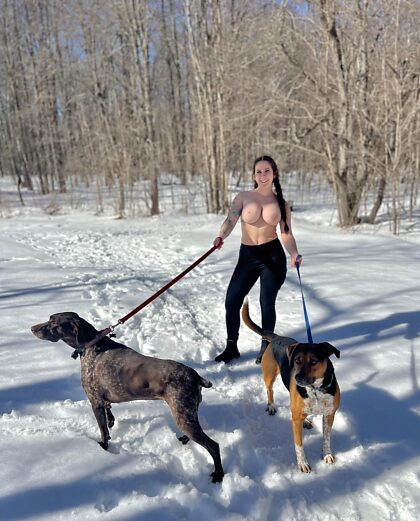 Taking the dogs for a quick walk, wanna join