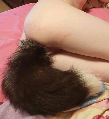 Not the best photo, but i like the fluffy tail^^
