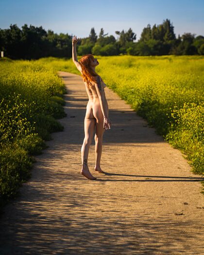 J'adore les promenades au coucher du soleil