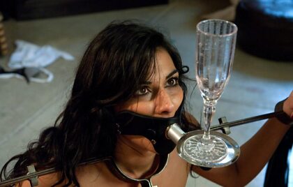 Love This Pic! Medieval Arm and Hand Restraints Combined with a Drink Service Gag