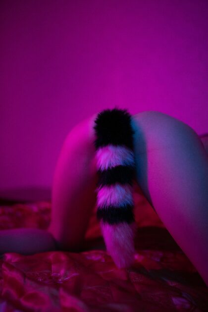 I'm too in love with this tail, and you?)