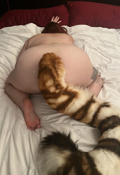 I hope my tail isn’t too big