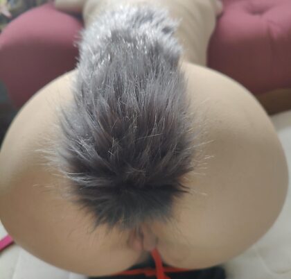 What do you think of my tail?