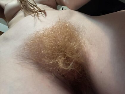 Ginger Furry Bush