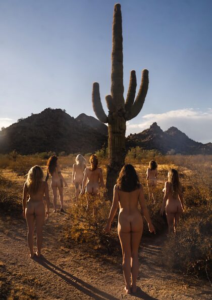 7 women, 1 cactus