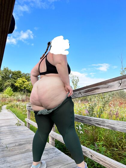 자연과 내 엉덩이 중 어느 쪽을 택하시겠습니까?