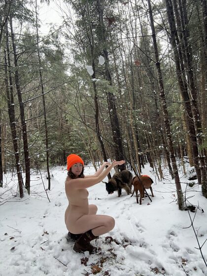 Make sure to wear your orange, it’s hunting season in VT