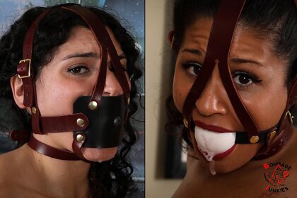 Which harness gag do you prefer to have fun being sub or with your sub, left or right?
