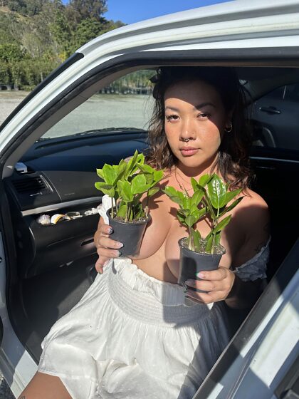 Got some plant shopping done