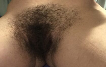 My first ever pic here . I’m trying to grow out my pubes so hope you like it.