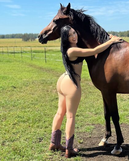 Rette ein Pferd und reite einen Cowboy
