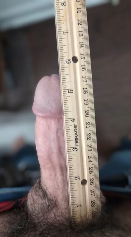 Here are a couple of photos of me measuring my average length erect penis