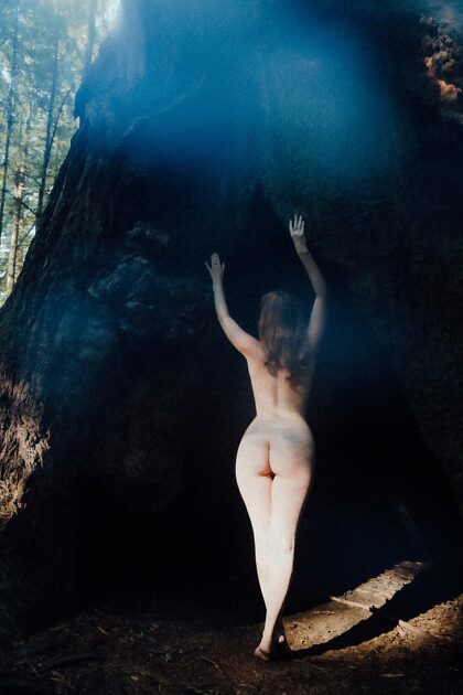 木の洞窟には裸でしか入れません。