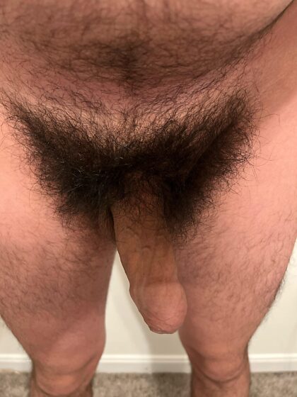 I’ve trimmed a few times before but nothing beats having a nice, hairy cock