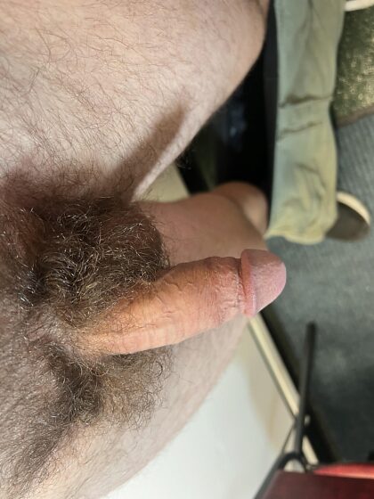 Looking to chat. Dm me